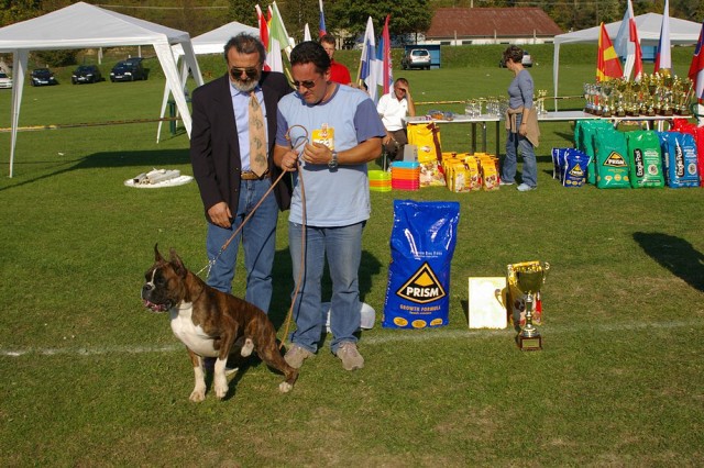 www.boxer-show.eu